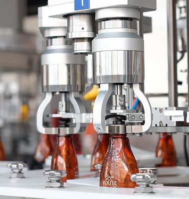 Glas/Plastic de Capsuleermachinemachine van de Flessenschroef